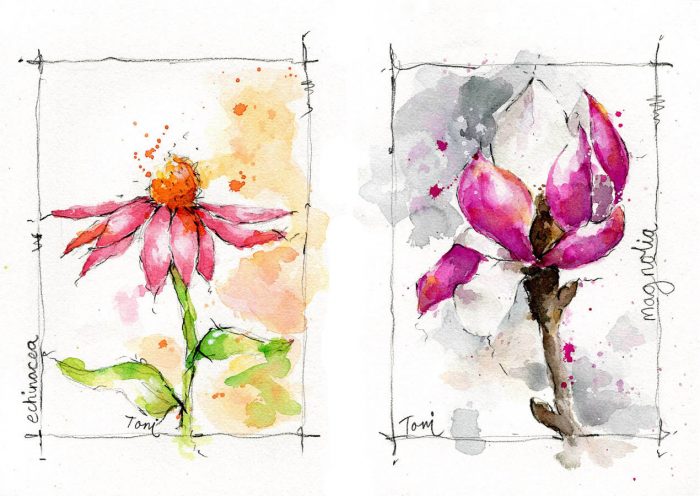 stems online flowers floral watercolor class