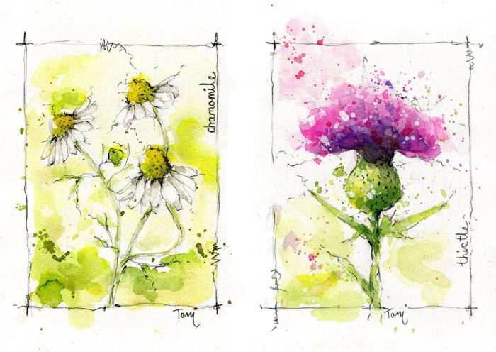 stems online flowers floral watercolor class