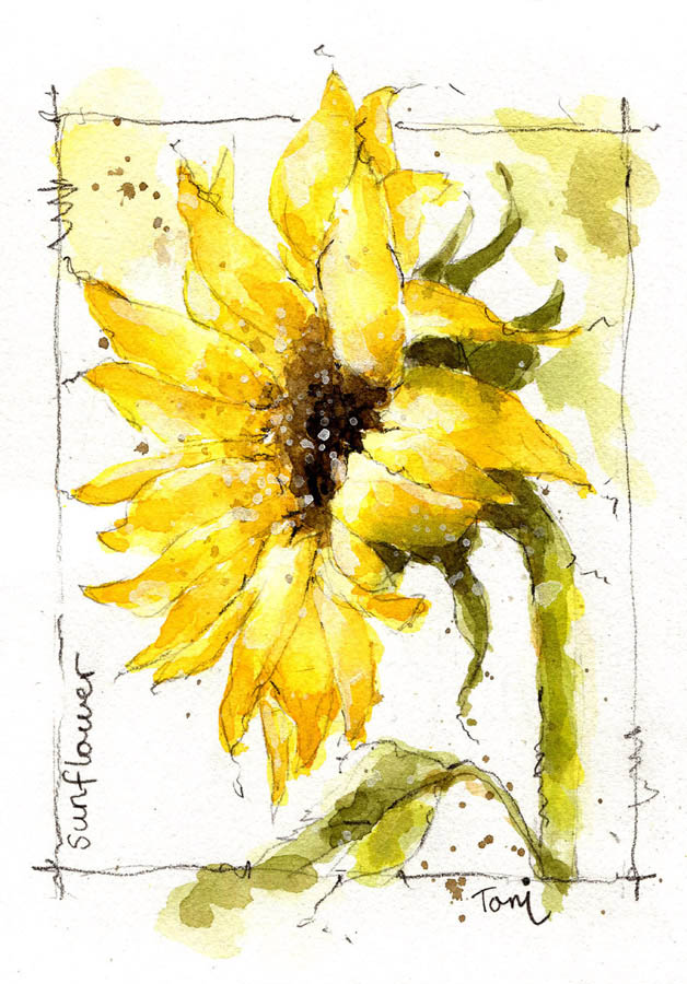 stems online flowers floral watercolor class sunflower