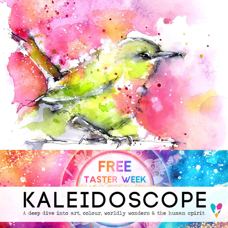 toni burt artist bird watercolour kaleidoscope taster week